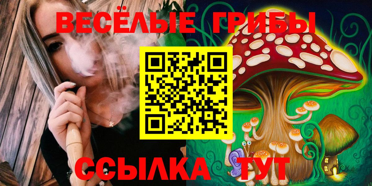 Уварово  Псилоцибиновые грибы прущие грибы  купить закладку  Вход с VPN  Галлюциногенные грибы Psilocybe 