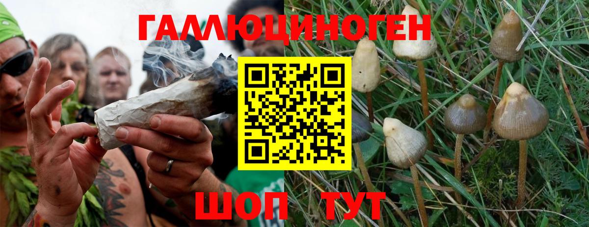 Псилоцибиновые грибы мухоморы Уварово